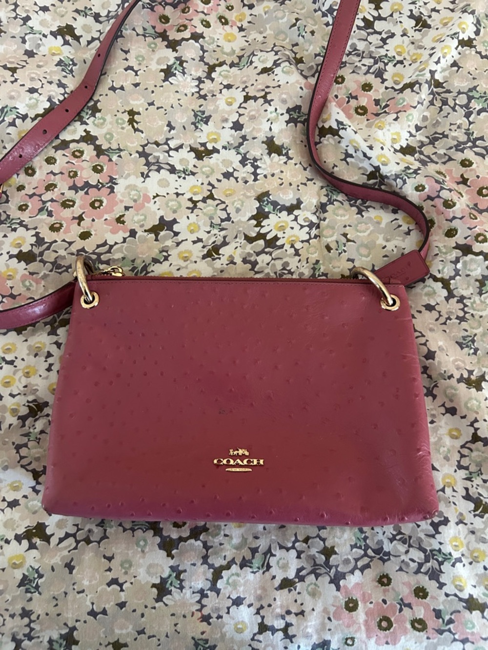 Coach Women's Crossbody Bag in Berry